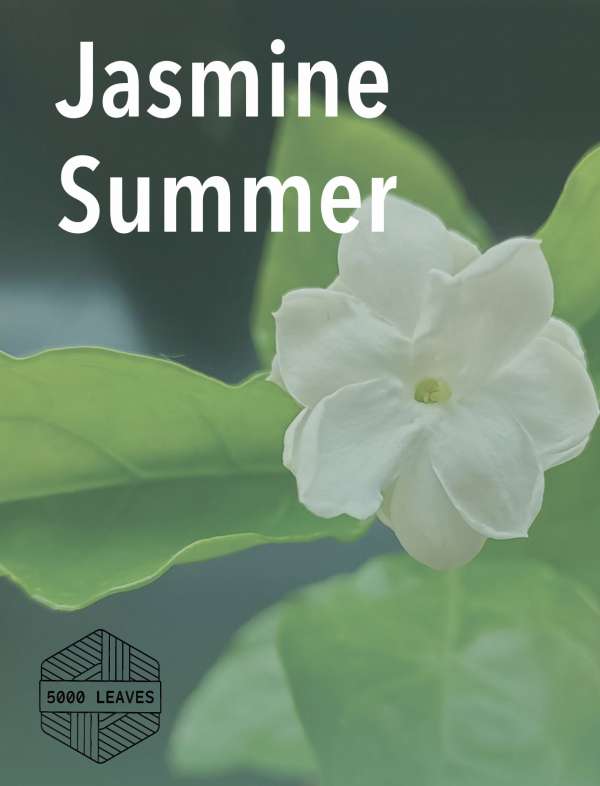 Jasmine Summer