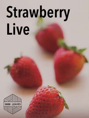Strawberry Live
